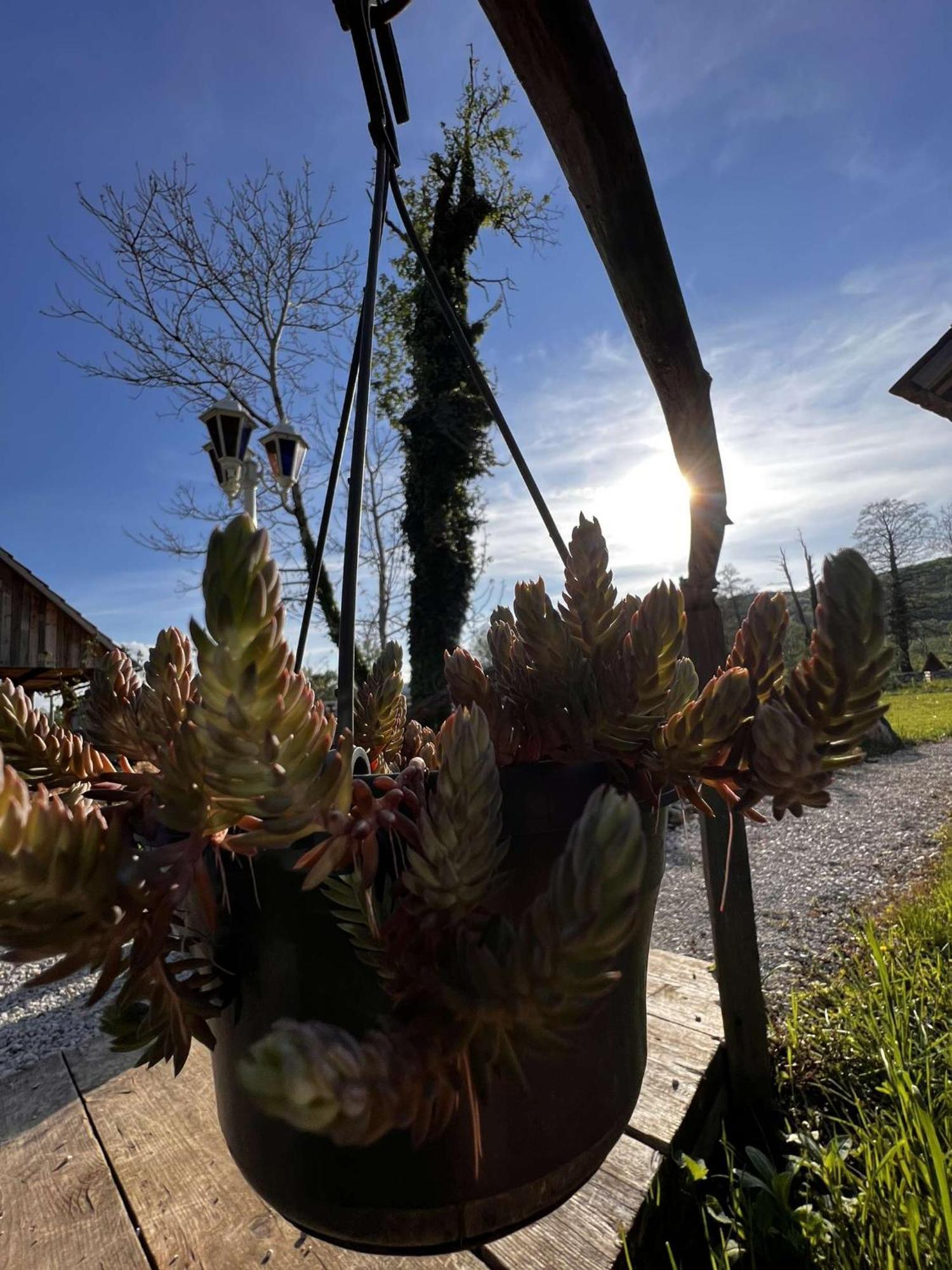 Edenski Vrt Ivancna Gorica Exterior foto