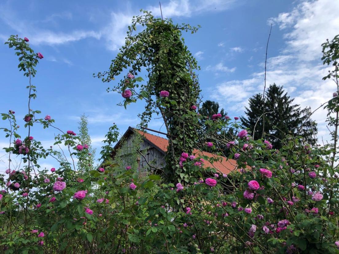 Edenski Vrt Ivancna Gorica Exterior foto